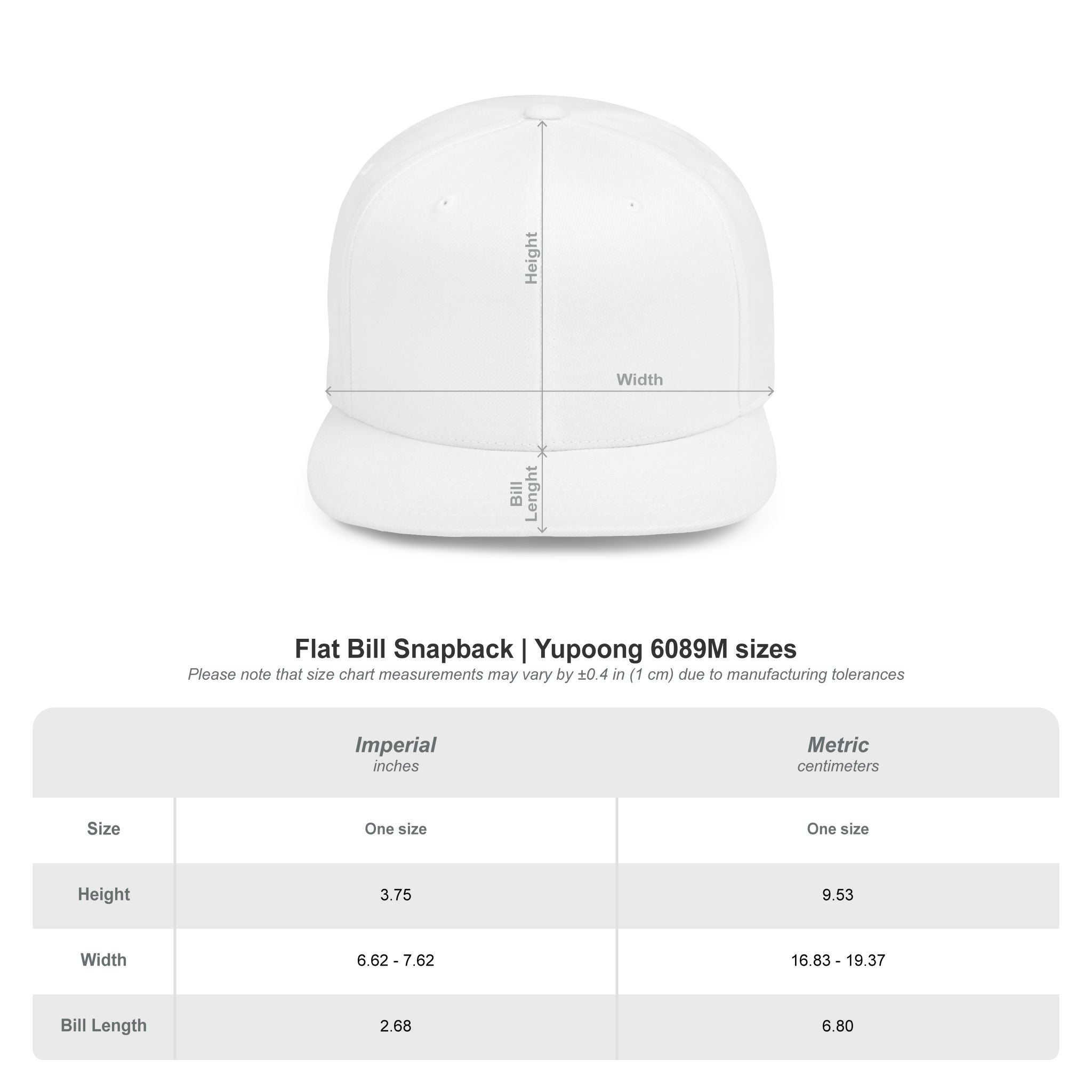 Curiosity Emblem Flat Bill Snapback | Embroidered Cap