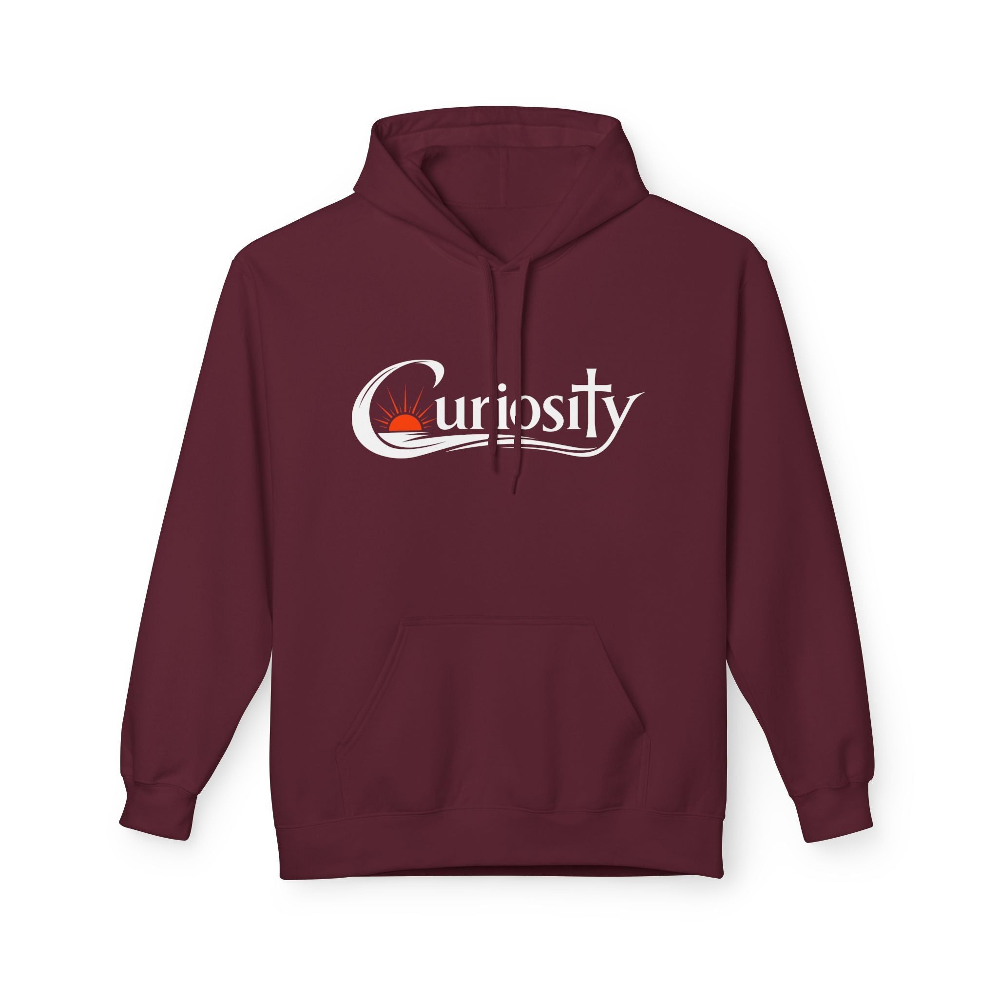 Curiosity Logo Hoodie | It starts with a question text